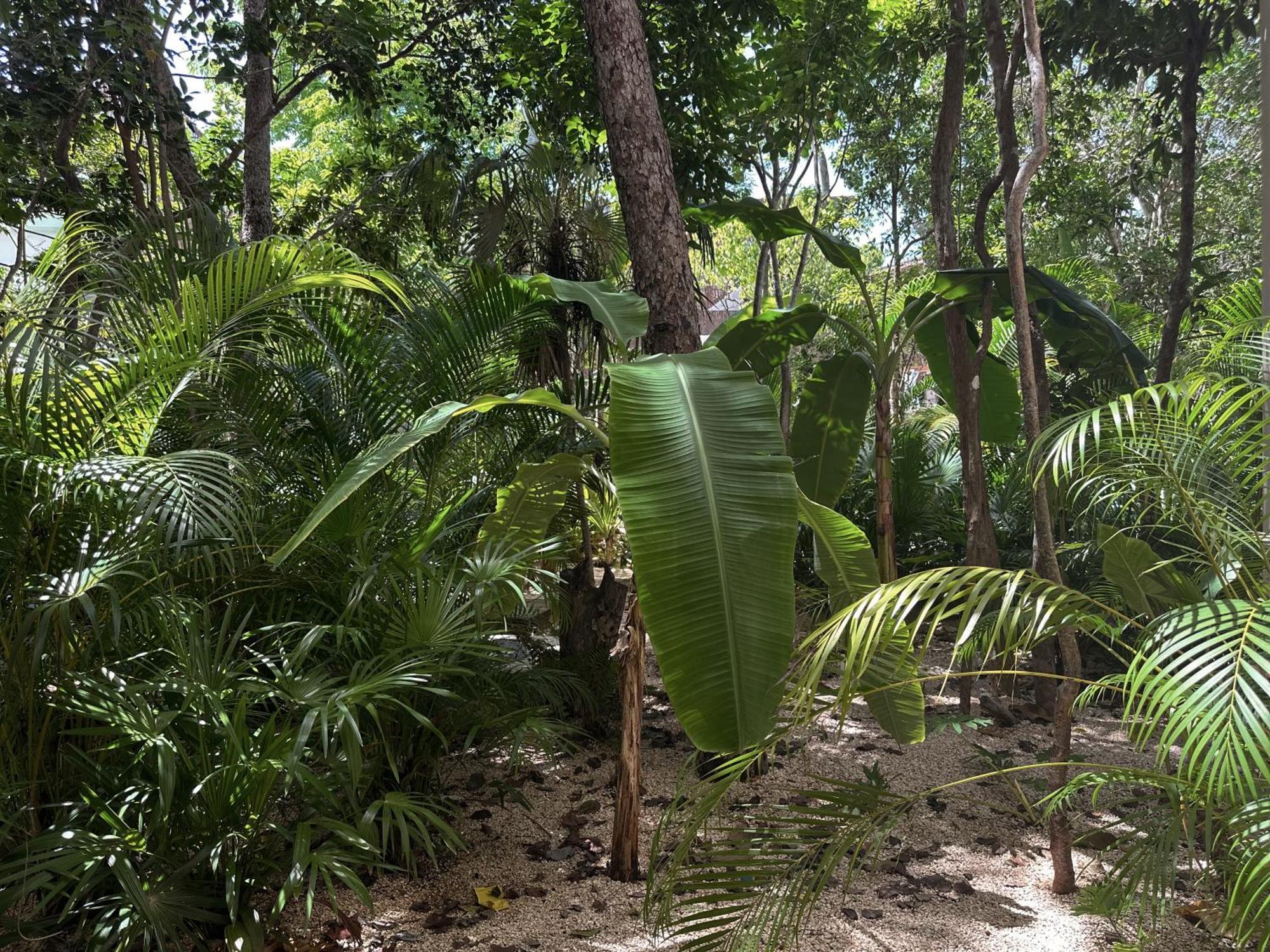 Ophelia Tulum Condo In Aldea Zama Exterior photo